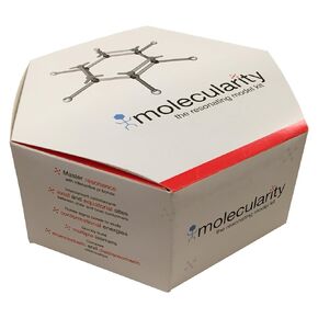 Organic Chemistry Student Molecular Model Kit by Molecularity 200 + Pieces