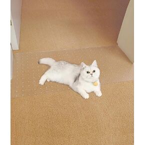 SYANDLVY Carpet Protector for Pets, Cat Scratching Pads for Doorway, Anti Scratch Under Door, Kittens Scratch Stopper Mat, Easy to Cut Plastic Guard Carpet 3.6FT