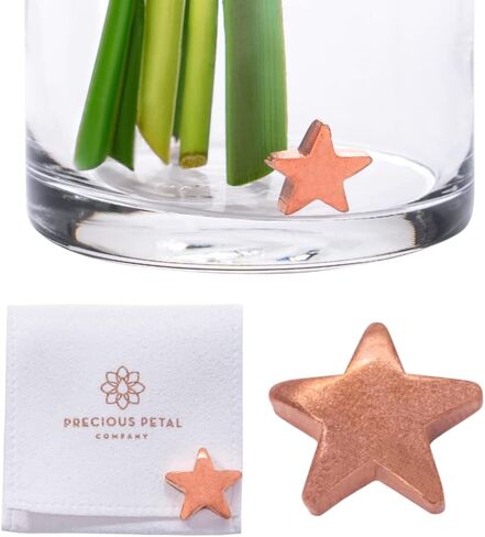 Flower Food Alternative for Fresh Cut Flowers. Copper Charm Keeps Flower Water Clean and Clear. Just Place it in the Vase, Reusable (1) in Saudi Arabia