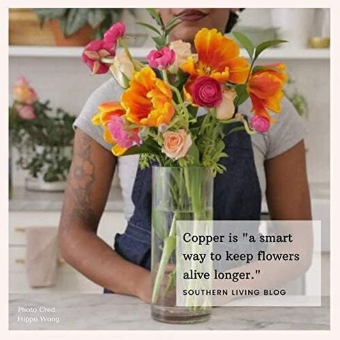 Flower Food Alternative for Fresh Cut Flowers. Copper Charm Keeps Flower Water Clean and Clear. Just Place it in the Vase, Reusable (1) in Saudi Arabia