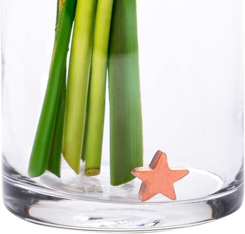 Flower Food Alternative for Fresh Cut Flowers. Copper Charm Keeps Flower Water Clean and Clear. Just Place it in the Vase, Reusable (1) in Saudi Arabia