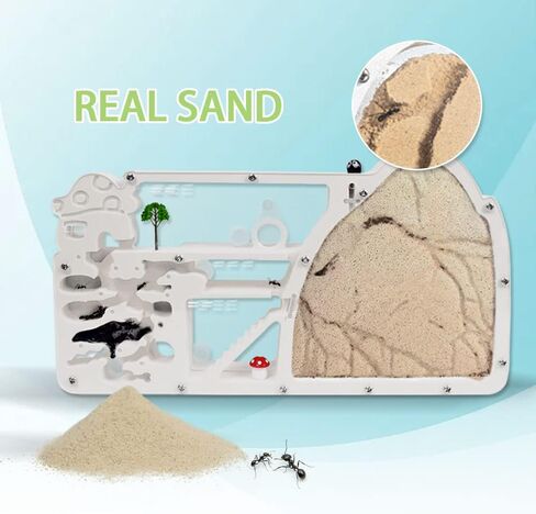Ant Farm Castle, Ant Farms with Yellow Sand and Tool Kit, Ant Colony Observation Kit, Ant Viewing Habitat Science Kit, Educational & Learning Science Kit for Kids, Adults, Student in Saudi Arabia
