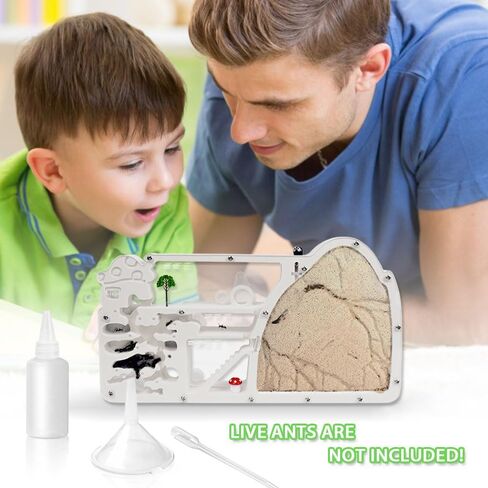 Ant Farm Castle, Ant Farms with Yellow Sand and Tool Kit, Ant Colony Observation Kit, Ant Viewing Habitat Science Kit, Educational & Learning Science Kit for Kids, Adults, Student in Saudi Arabia