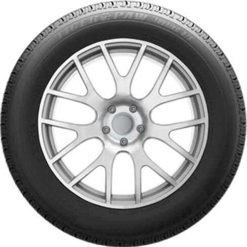 Uniroyal Tiger Paw Touring A/S All Season 215/60R16 95H Passenger Tire in Saudi Arabia