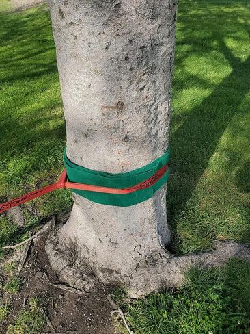 واقيات شجرة للخطوط Slacklines مقاس 79 بوصة × 4 بوصة - قطعتان من أغطية اللباد غير القابلة للانزلاق مع أشرطة توجيه مضادة للانزلاق - ملابس مثالية للشجرة في الهواء الطلق لأراجيح Ziplines وحبل Slackline in Kuwait