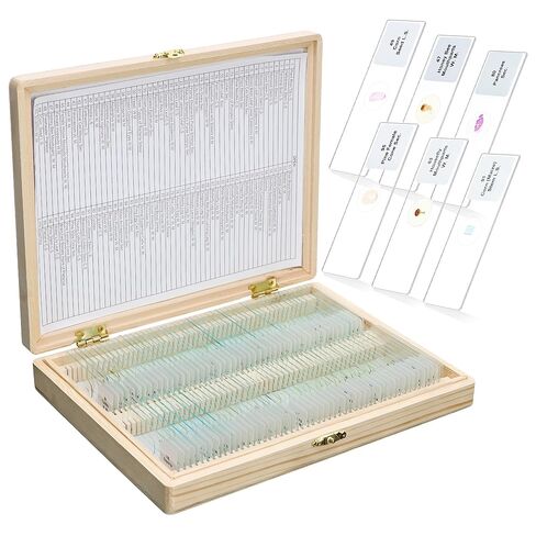 Labvida 50PCS Prepared Microscope Slides, Microbiology Specimen Slides for Kids, Adults LVQ091 in Kuwait