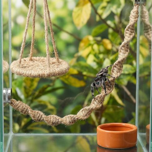 Jumping Spider Rope Bridge Swings, Jumping-Spiders Swing Rest and Play Platform, Magnetic Mounting Jumping Spiders Climbing Rope, Spider Decor Accessories for Tiny Animal Enclosure Decorations (Brown) in Kuwait