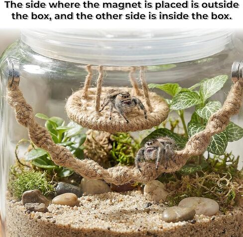 Jumping Spider Rope Bridge Swings, Jumping-Spiders Swing Rest and Play Platform, Magnetic Mounting Jumping Spiders Climbing Rope, Spider Decor Accessories for Tiny Animal Enclosure Decorations (Brown) in Kuwait