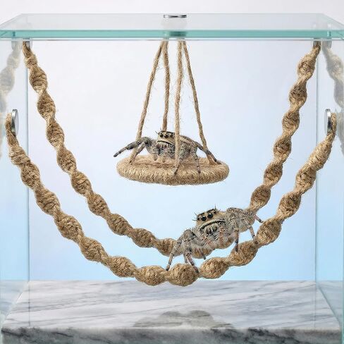 Jumping Spider Rope Bridge Swings, Jumping-Spiders Swing Rest and Play Platform, Magnetic Mounting Jumping Spiders Climbing Rope, Spider Decor Accessories for Tiny Animal Enclosure Decorations (Brown) in Kuwait