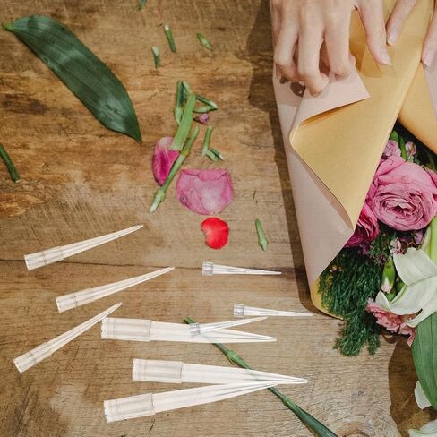 Veemoon 60pcs Plastic Single Flower Water Tube Floral Art Stem Tubes Fresh Floral Cake Spikes Pointed Picks Clear Flowers Arrangement Holders for DIY Craft Wedding (L 2.8 + S 1.2 + M 2 Inch) in Kuwait