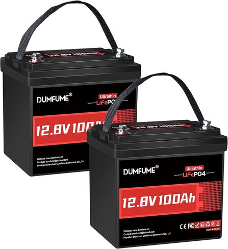 24V 100Ah LiFePO4 Battery, Built-in 100A BMS 24V Lithium Battery, Low Temperature Protection,2560W Power Output, Up to 15000+ Cycles, Ideal for RV, and Solar Off-Grid Systems in Kuwait