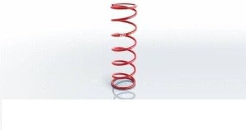 1300.500.0200 Conventional Rear Spring 1300.500.0200 in Kuwait