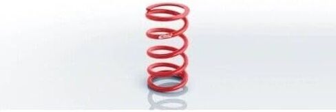 0950.500.0550 Conventional Front Spring 0950.500.0550 in Kuwait