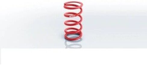 0950.500.0450 Conventional Front Spring 0950.500.0450 in Kuwait