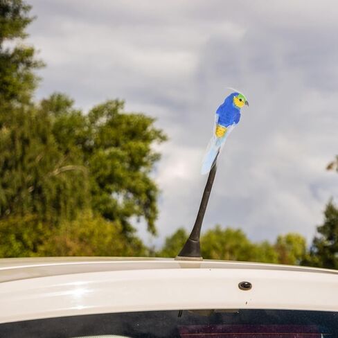 Ciieeo Cute Animal Car Antenna Topper Cartoon Figurine Vehicle Roof Decoration Easy Install Unique Car Accessory for Style in Kuwait
