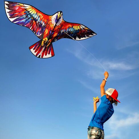 HENGDA KITE Eagle Kite,for Kids and Adults,Easy to Fly,Excellent Fabric and Structure Design,The Pictures are Beautiful in high Definition,Suitable for Beginners(63x27) in Kuwait