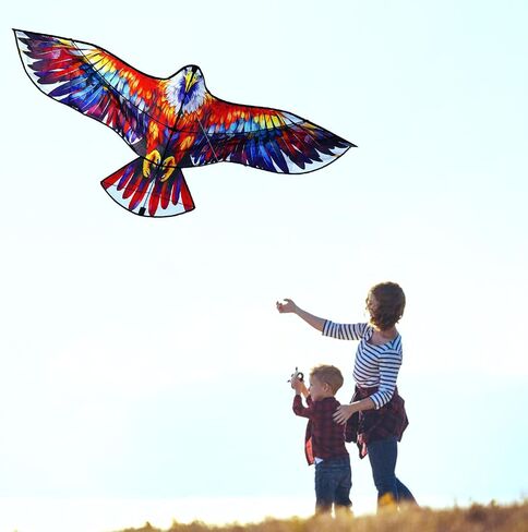 HENGDA KITE Eagle Kite,for Kids and Adults,Easy to Fly,Excellent Fabric and Structure Design,The Pictures are Beautiful in high Definition,Suitable for Beginners(63x27) in Kuwait