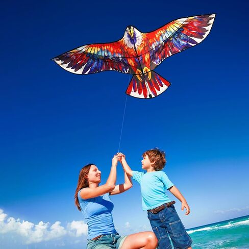HENGDA KITE Eagle Kite,for Kids and Adults,Easy to Fly,Excellent Fabric and Structure Design,The Pictures are Beautiful in high Definition,Suitable for Beginners(63x27) in Kuwait