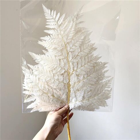 Preserved Real Ferns Dried Fern Tips Stems Wedding Garlands Home Decorations Bouquets Flower Arrangements Wall Hanging Dried (White)(10 Stems) in Kuwait