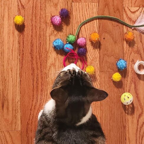 Make Your Own Cat Toys – All in One Kit - Pet Craft Kit for Cat Owners & Crafters – Handmade Cat Toy Supplies - Feathers, Pom Poms, Yarn, Pipe Cleaners, Bells in Kuwait