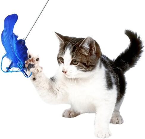 Make Your Own Cat Toys – All in One Kit - Pet Craft Kit for Cat Owners & Crafters – Handmade Cat Toy Supplies - Feathers, Pom Poms, Yarn, Pipe Cleaners, Bells in Kuwait