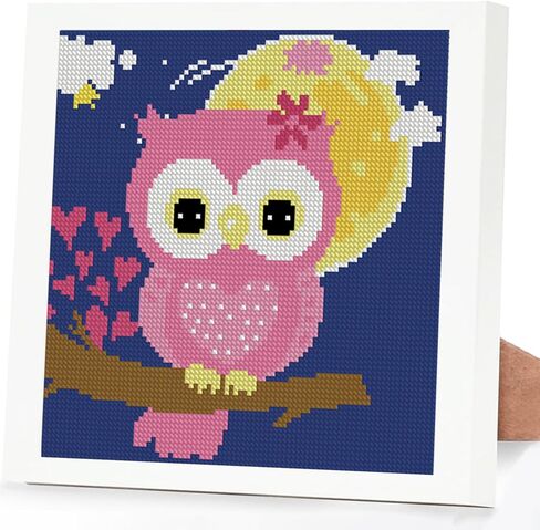 Gnome Stamped Cross Stitch Kits for Adults Beginner, Flowers bee Counted Cross Stitch Kits Printed Stitching Cute Patterns Dimensions Needlepoint Art Crafts Embroidery Kits for Adults in Kuwait