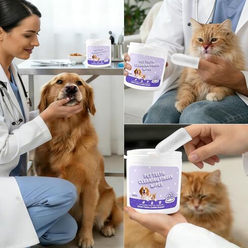 Cats Dogs Dental Care Finger Wipes - 50 PCS Tooth Brushing Kit Dental Wipes for Cats - Teeth Cleaning Finger Wipes for Dog & Cats - Reduces Plaque & Freshens Breath (CY_TeethWipes) in Saudi Arabia