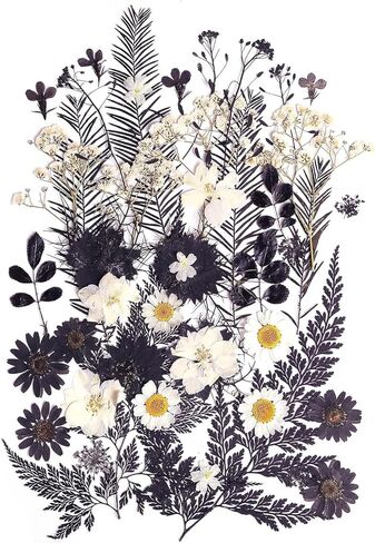 12 Types 48PCS Real Dried Pressed Flowers for Resin, Leaf Plant Herbarium for Jewelry Making Craft (Black and White) in Kuwait
