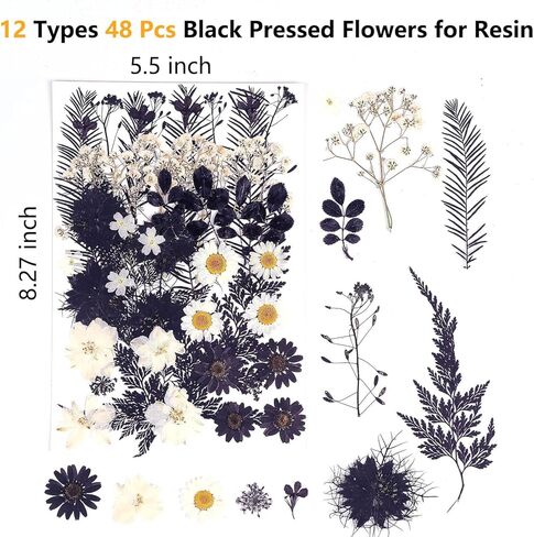 12 Types 48PCS Real Dried Pressed Flowers for Resin, Leaf Plant Herbarium for Jewelry Making Craft (Black and White) in Kuwait