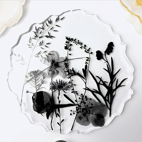 12 Types 48PCS Real Dried Pressed Flowers for Resin, Leaf Plant Herbarium for Jewelry Making Craft (Black and White) in Kuwait