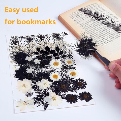 12 Types 48PCS Real Dried Pressed Flowers for Resin, Leaf Plant Herbarium for Jewelry Making Craft (Black and White) in Kuwait