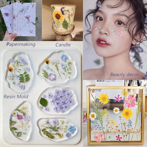 12 Types 48PCS Real Dried Pressed Flowers for Resin, Leaf Plant Herbarium for Jewelry Making Craft (Black and White) in Kuwait