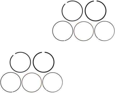 Motorcycle Engine Piston Rings Kit 100mm 420890385 Compatible with RXP X 300 300 2016 2022 300 2024 (1pcs) in Kuwait