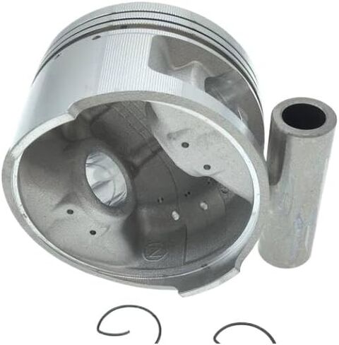 Cylinder Piston Ring Set Compatible with SB300 Plus 50 Plus 25 (SB300 25 Ring) in Kuwait