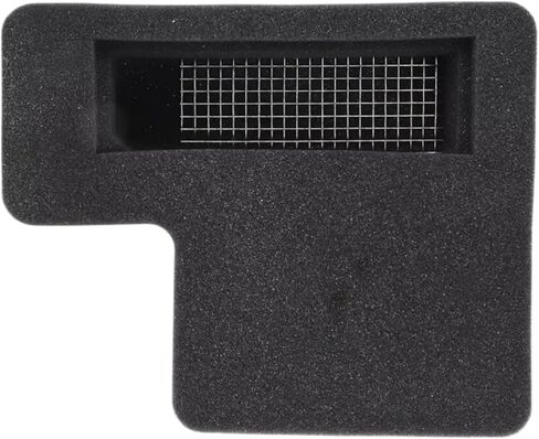 Air Box Baffle Assembly 1253116 Compatible With Polaris 1993-1999 Indy Trail Classic RMK SKS in Kuwait