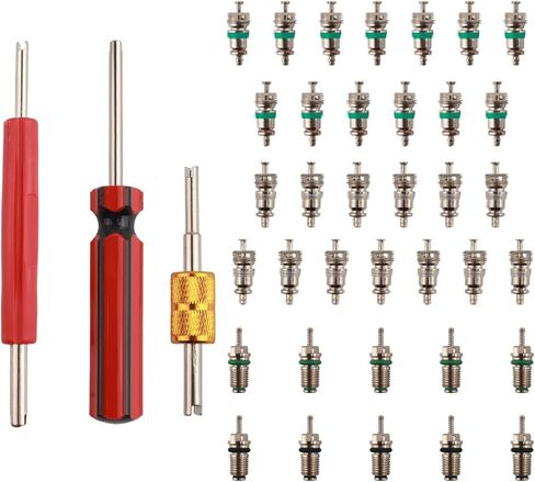 39PCS AC Valve Core Kit,AC Valve Kit Include Single & Double Head ACS Valves Core Removal Tool,R12 & R134A A/C Valves Cores Kits for Repairing Automotive Air Conditioning Systems in Saudi Arabia
