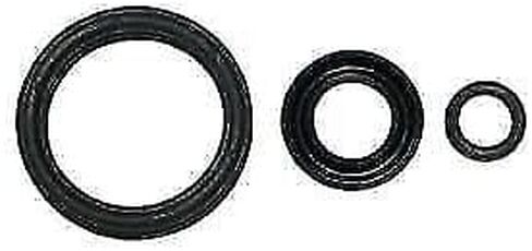 524316K Cylinder Kit Bore: 1" 524316K in Kuwait