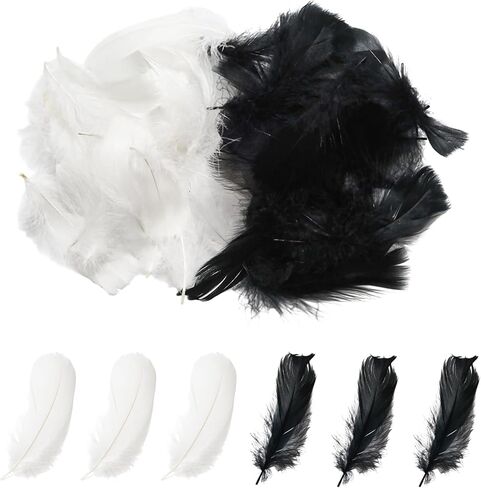 Yinluluna 600 PCS Black & White Feathers for Craft, 3-5 inch Craft Feathers Assorted Colors Bulk Feather for Dream Catcher, Costume, Mask, Wedding Party Decorations(Black & White) in Kuwait