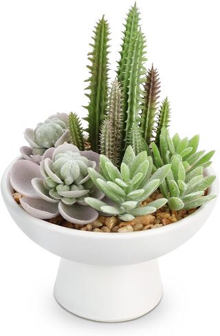 Succulents Plant Artificial for Home Decor, 6" Potted Fake Succulents Set of 2, Small Faux Succulent Planters In Ceramic Pots, Modern Artificial Plants Indoor Outdoor for Desk, Shelf, Office Decor in Kuwait