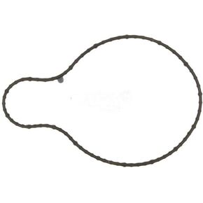 Replacement Water Pump Gasket Compatible with 1993-2002 Cadillac Eldorado in Kuwait