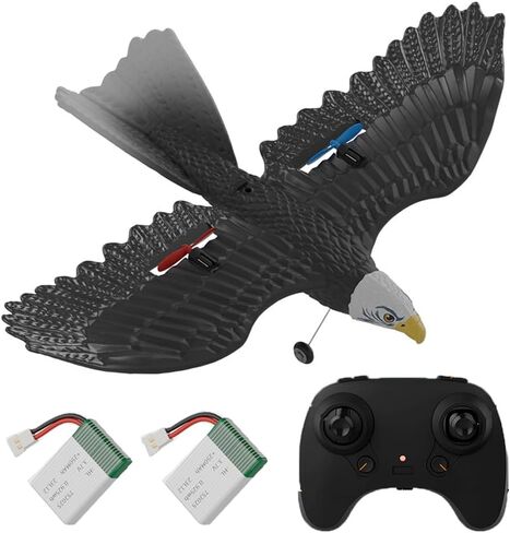2.5 CH طائرة RC طائرة النسر الطائر الطائر مع بطاريتين 6 محاور مثبت جيروسكوبي سهل الطيران للمبتدئين والكبار in Kuwait