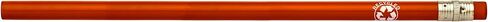 أقلام الرصاص Pencil Guy مصنوعة من ورق الجرائد والكرتون المُعاد تدويره، اللون الأزرق 144 في علبة in Kuwait