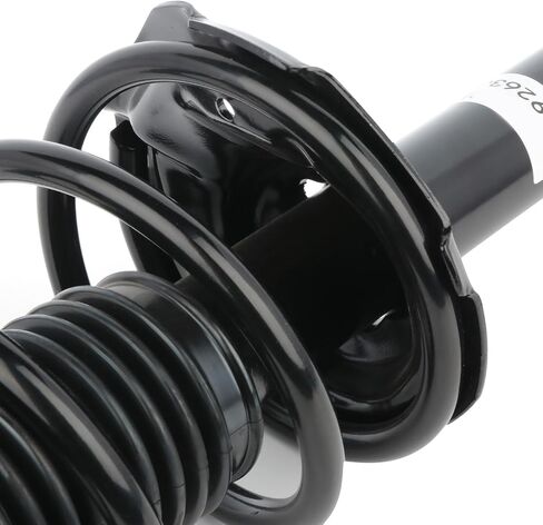 ECCPP Complete Struts Spring Assembly Front and Rear Struts Shock Coil Spring Fit for 2004-2006 for Scion xA 2004-2006 for Scion xB - 172245 343426 5601 in Kuwait
