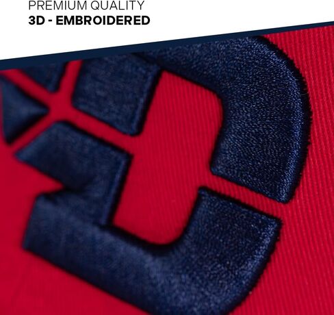 Desert Cactus University of Dayton Baseball Hat Flyers UD Brimmed Embroirderd Hats Cap Adjustable Cloth Strap Adult (Style B) Red in Saudi Arabia