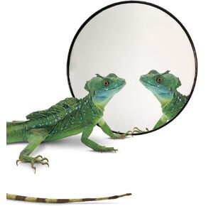 5.1 Inches Lizard Mirror Toy, Reptile Mirror Toy with Suction Cups, Small Animal Tank Aquarium Decor Accessories, Suitable for Hermit Crab Lizard Chameleon Hamster Guinea Pig Turtle