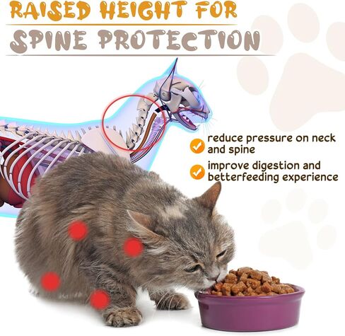 Roshtia 4 Sets Elevated Cat Bowls Ceramic Raised Cat Food Bowls with Metal Stand Dishwasher Safe Dishes Non Slip Elevated Food Plate(Black,Paw) in Kuwait