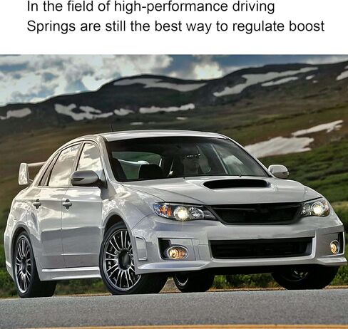 زنبرك بوابة النفايات، 8PSI 14PSI زنبركي من الفولاذ الكربوني المقاوم للصدأ قطعتان لـ TiAL in Kuwait