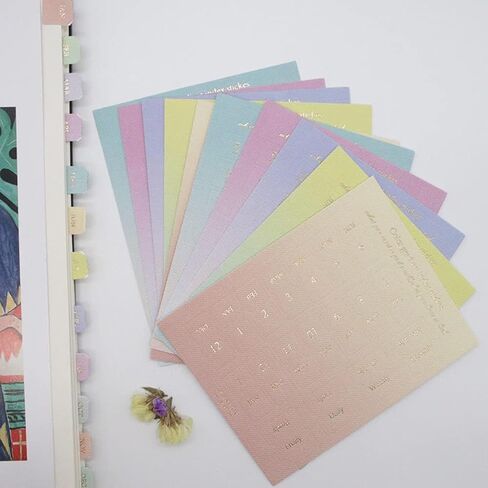 Monthly Tabs Color Gradient Index Stickers Self Adhesive Page Markers Planner Tabs Calendar Tabs Monthly Dividers Index Tabs for Notes Planners (D) in Saudi Arabia
