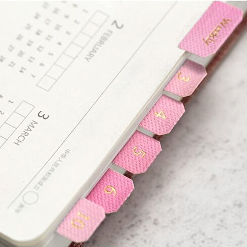Monthly Tabs Color Gradient Index Stickers Self Adhesive Page Markers Planner Tabs Calendar Tabs Monthly Dividers Index Tabs for Notes Planners (D) in Saudi Arabia