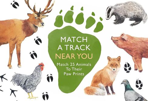 Laurence King Match a Track Near You: Match 25 Animals to Their Paw Prints in Kuwait